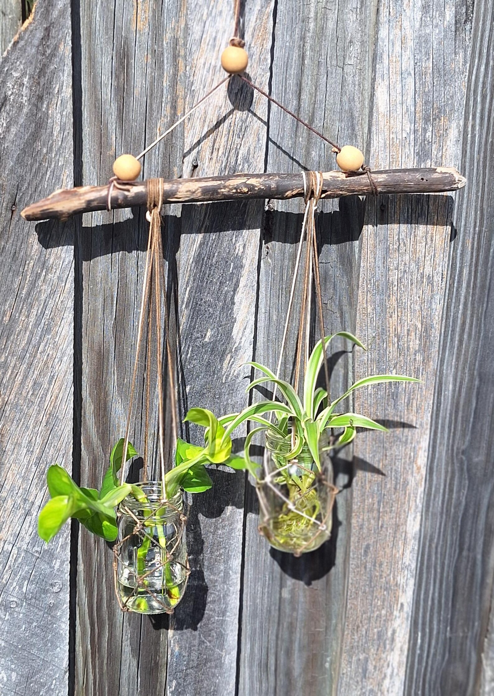 Macrame Rope Freshwater Driftwood Propagation Station Vase 2 Ball Mini ...