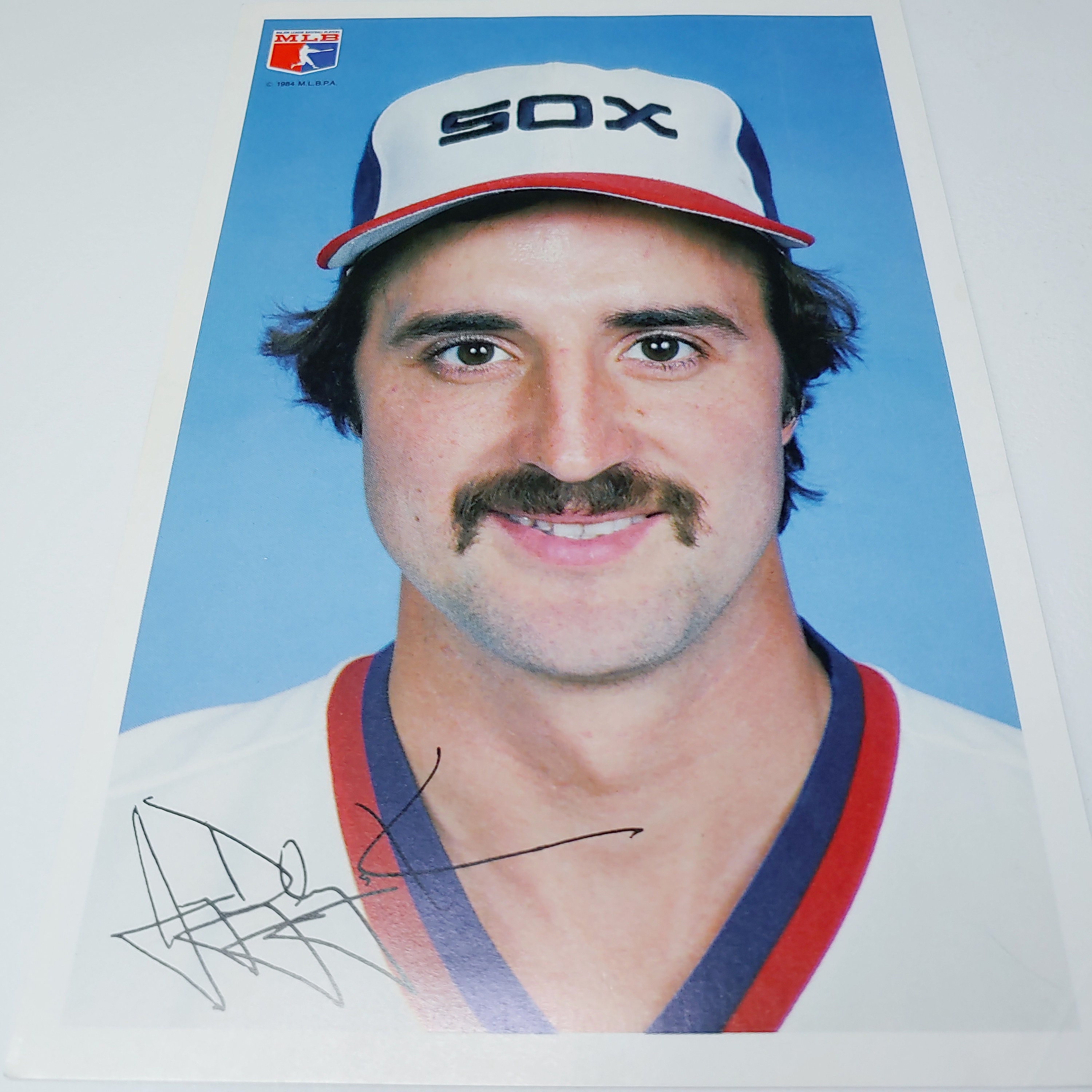 Chicago White Sox Autographed Jerry Dybzinski Picture - Etsy