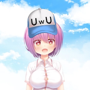 Vtuber Asset: Meme Funny Caps Hats Set B