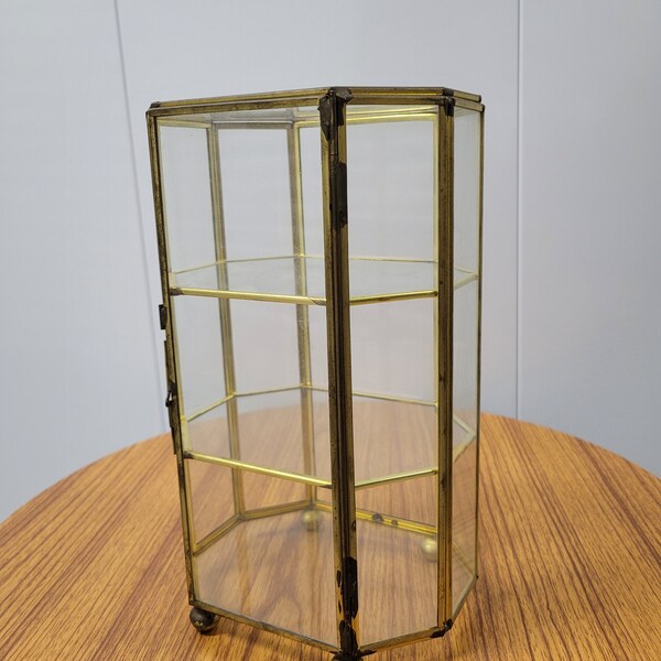 Brass Display Case Etsy