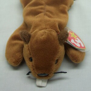 TY Beanie Baby BUCKY The Beaver Bean Bag Stuffed Toy 1995 Babies 1990&#39;s NEW
