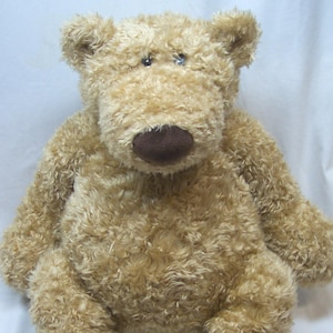 Könnte beinhalten: Ein Plüsch-Teddybär mit zotteligem, hellbraunem Fell, einem großen, abgerundeten Kopf und einer dunkelbraunen Stoffnase. Das Stofftier hat kleine, dunkle, glänzende Augen und einen weichen, strukturierten Körper mit langen Armen und Beinen.