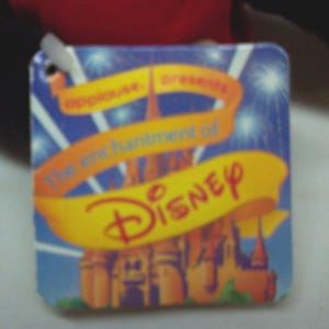 May include: A blue and yellow tag with the text "The enchantment of Disney" and a picture of Cinderella's castle.