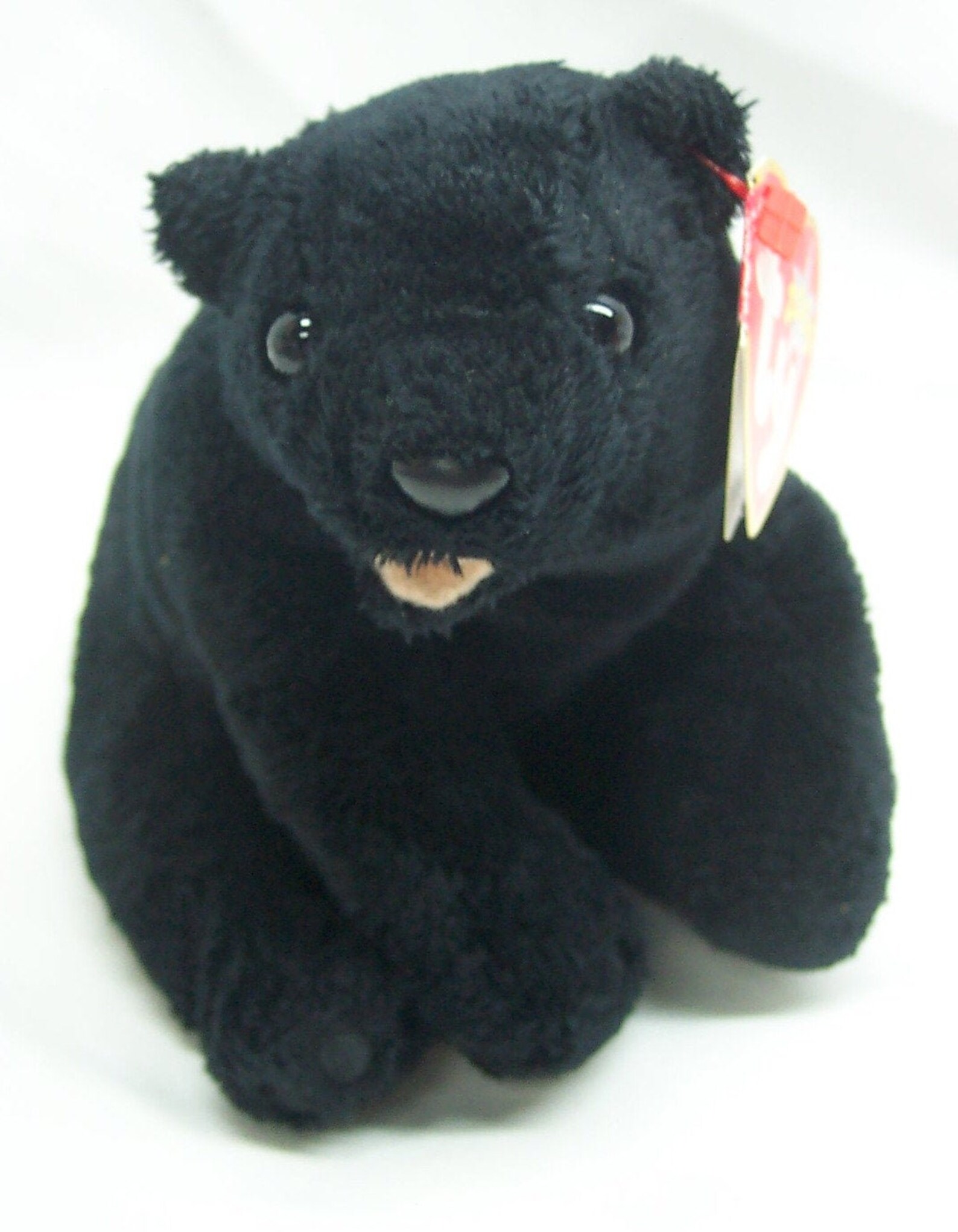 TY 2000 Beanie Babies 2000 CINDERS Soft Black Bear 4 Etsy