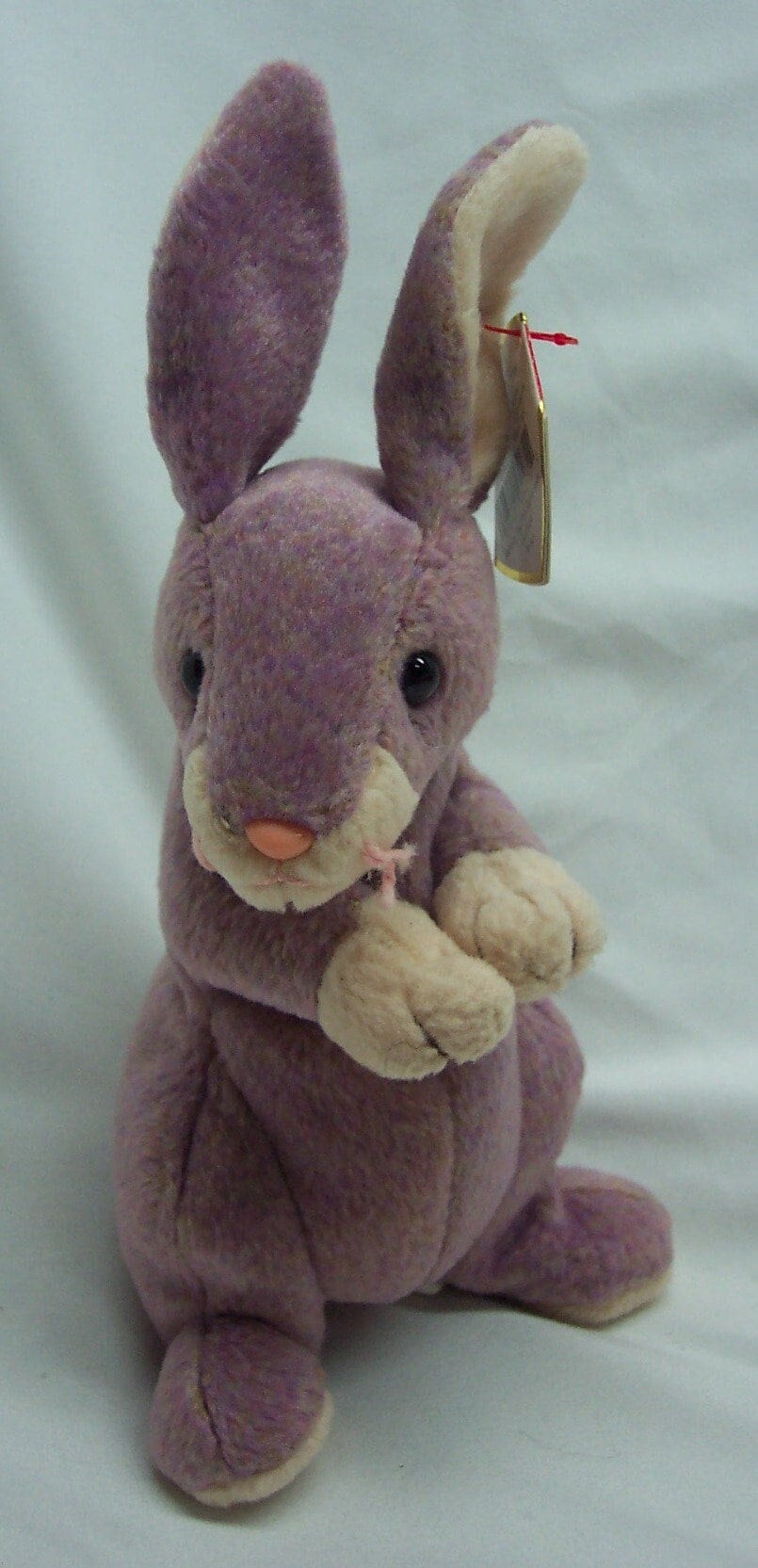 Ty Springy Vintage TY 2000 Beanie Babies SPRINGY Bunny Rabbit 7