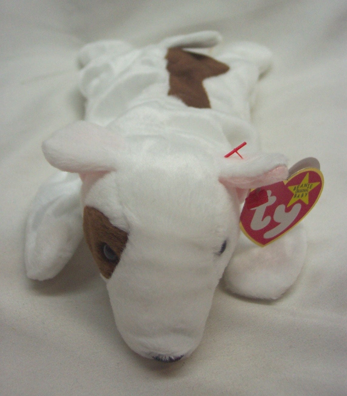 Beanie baby butch clearance