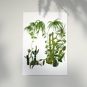 Zimmerpflanzen Dschungel druckbare Illustration | Pflanzenmama Kunstdruck | Digitaler Download
