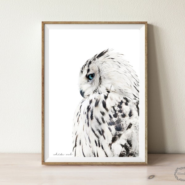 Owl wall art print, modern owl print,bird printable art,black and white printable poster, instant download , modern animal wall art