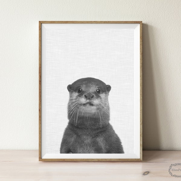 Otter photography, Otter Prints, otter Wall Art, Black and White prints , Nursery Wall Art, black and white instant download, wall decor