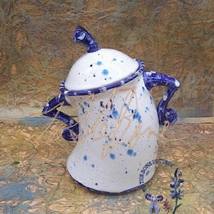 Retro Classic Blue Sassy Canister