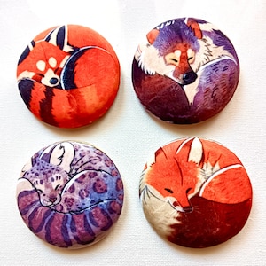 Pode incluir: Quatro botões redondos com ilustrações de animais a dormir. Os botões apresentam um panda vermelho, um lobo, um leopardo-das-neves e uma raposa. Cada animal está enrolado numa bola, com cores suaves e padrões de pêlo detalhados.