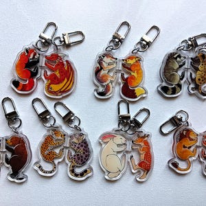 May include: A selection of clear acrylic keyrings with animal illustrations. The keyrings show pairs of animals: a red panda and dragon, fox and fox, raccoon and hyena, bear and wolf, cheetahs, rabbit and deer, and lion and tiger.