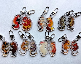 Magnetische Schlüsselanhänger für Paare, 50,8 mm (2 Zoll), verschiedene Tiere, zum Kombinieren – Fuchs, Wolf, Drache, Hyäne, Löwe, Tiger, Schneeleopard, Hase, Reh usw.