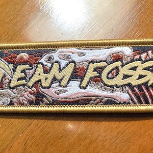 Puede incluir: Un llavero rectangular bordado con un borde dorado y una anilla de metal plateado. El diseño presenta un fondo oscuro con ilustraciones de esqueletos de dinosaurios en blanco y marrón y el texto TEAM FOSSIL en letras doradas.