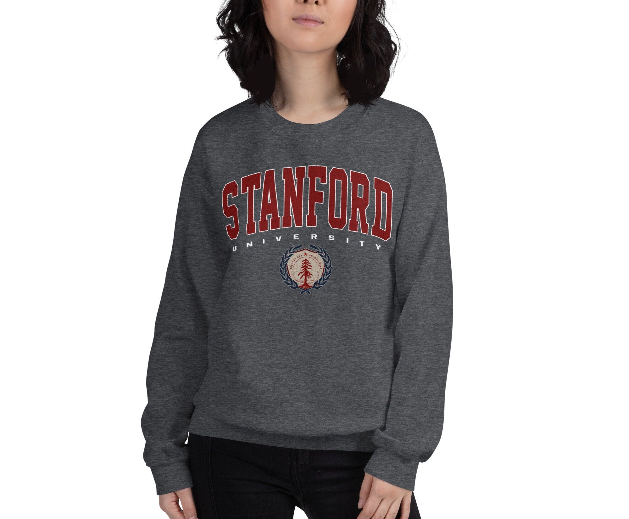 Classic stanford printed loose cozy sweatshirt cheap