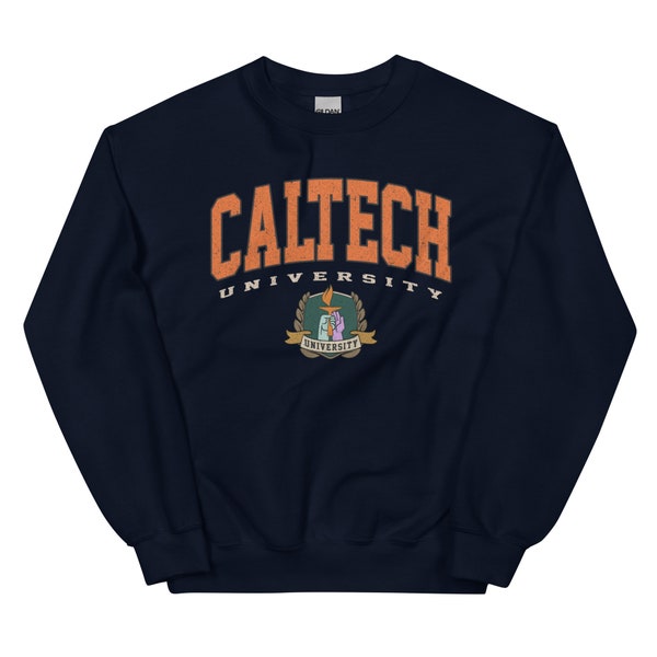 Caltech Sweatshirt, Vintage college sweater, Graduation gift, birthday gift, Vintage sweater gift, Spring sweater, Caltech shirt, holiday