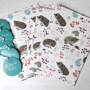 Festive Hedgehogs Gift Wrap, 5 Sheets with 5 Tags