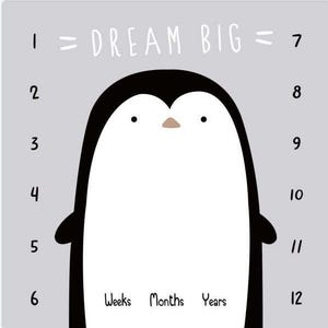 BABY MILESTONE deken pinguïn, gepersonaliseerde groeimeter voor kinderen, babyfotoalbum achtergrond rekwisieten, pasgeboren babycadeaus van 3 maanden oud