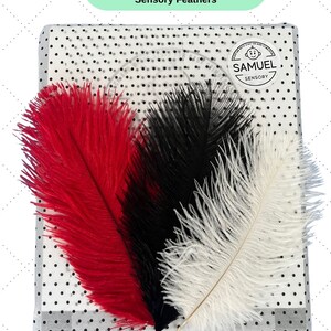 Puede incluir: Un conjunto de tableros sensoriales y de desarrollo envuelto en papel de regalo con tres plumas de avestruz de color rojo, negro y blanco. El papel de regalo tiene un patr&oacute;n de lunares negros y una etiqueta que dice "SAMUEL SENSORY".