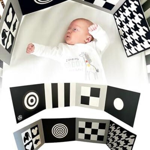 Sensory & Development Boards