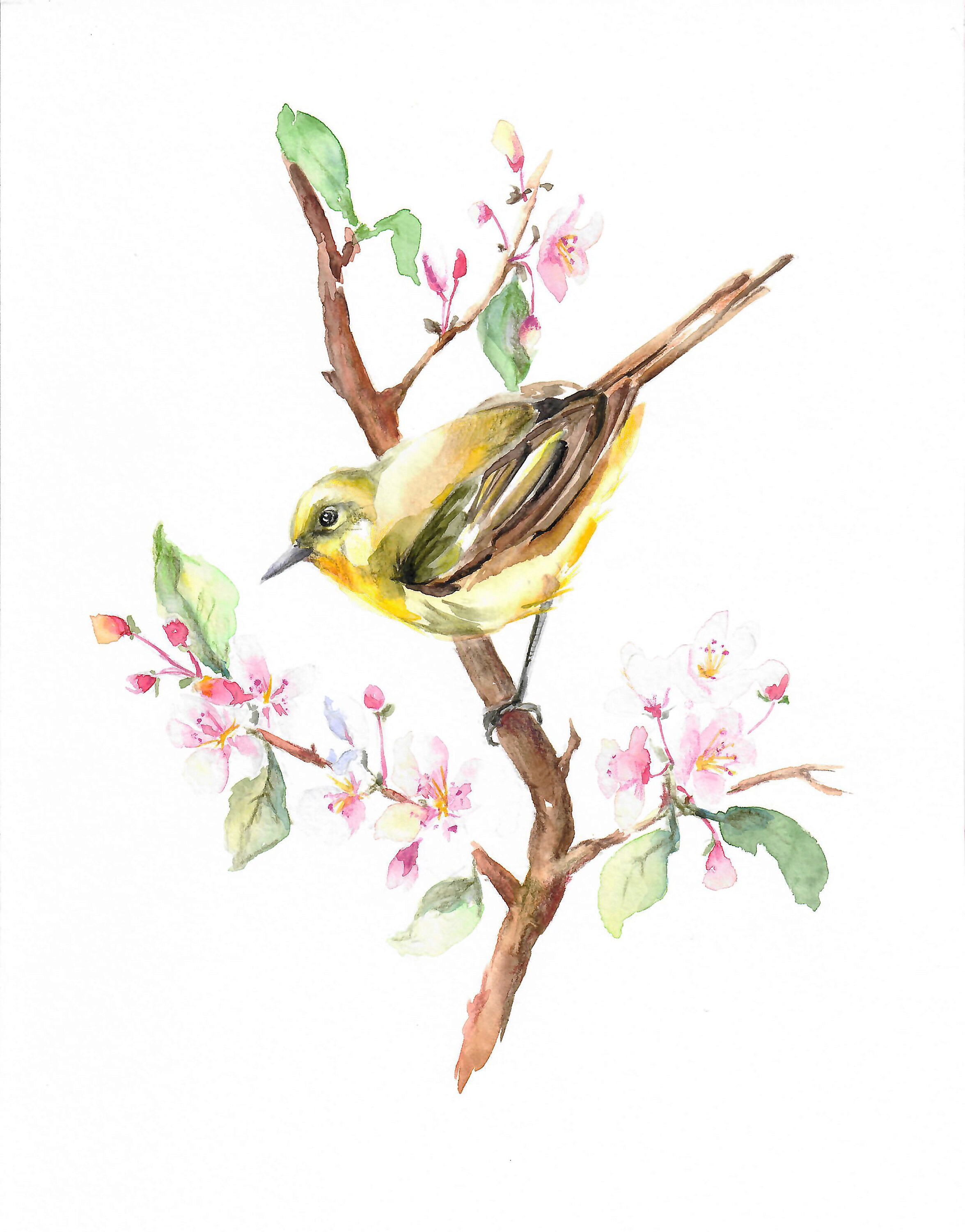 Bird On Twig Printbotanical Bird Printyellow Bird | Etsy