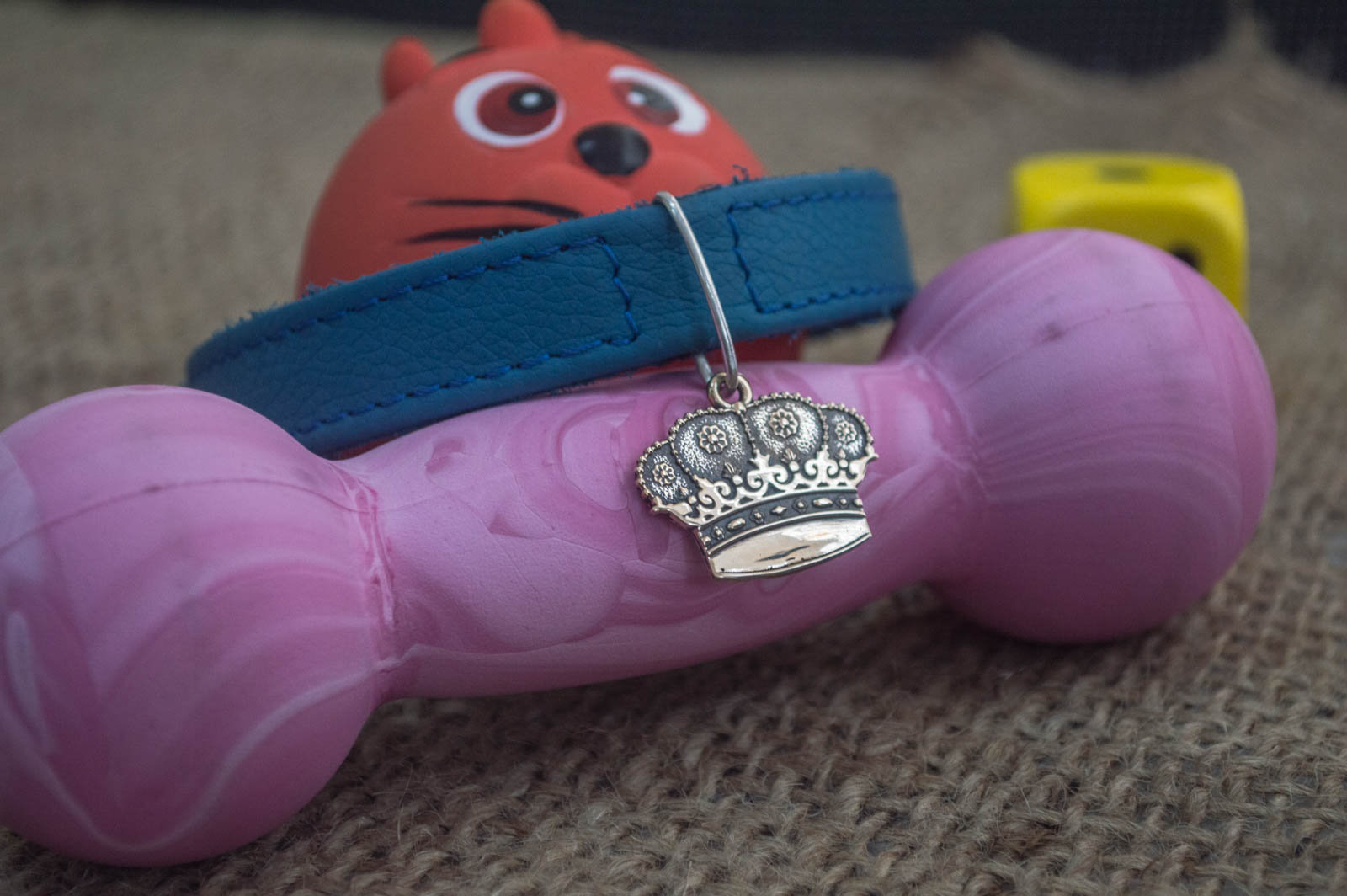 Crown Pet Id Tag, Engraved Pet Tag, Custom Dog Tag, Dog ID Tags