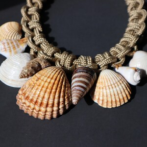 May include: A gold rope necklace with various seashells attached. The shells are in shades of white, brown, and beige.