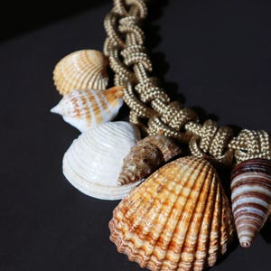 May include: A gold rope necklace with various seashells attached. The shells are in shades of brown, white, and beige.