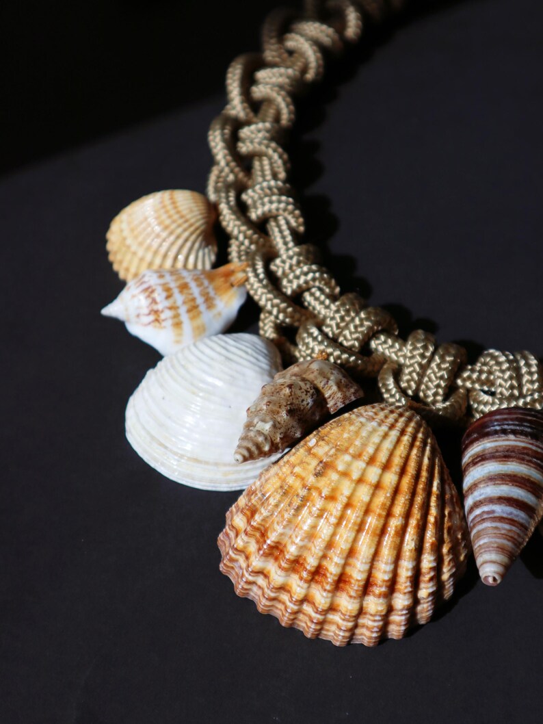 May include: A gold rope necklace with various seashells attached. The shells are in shades of brown, white, and beige.