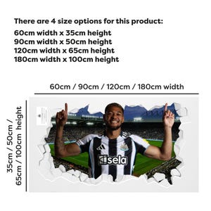 Newcastle United Football Club - Joelinton 25/26 Broken Wall Sticker image 2