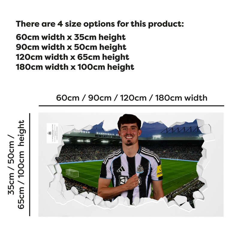 May include: A wall art piece featuring a soccer player in a black and white striped jersey, set against a stadium backdrop. Available in four sizes: 60cm x 35cm, 90cm x 50cm, 120cm x 65cm, and 180cm x 100cm. The image includes text indicating size options.