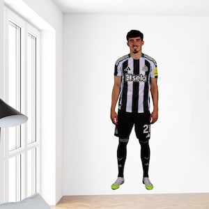 May include: A person wearing a black and white striped soccer jersey with the word "Kisela" on the front. The jersey has a black collar and sleeves. The person is also wearing black shorts, black socks, and green and white cleats. The number "2" is visible on the shorts.