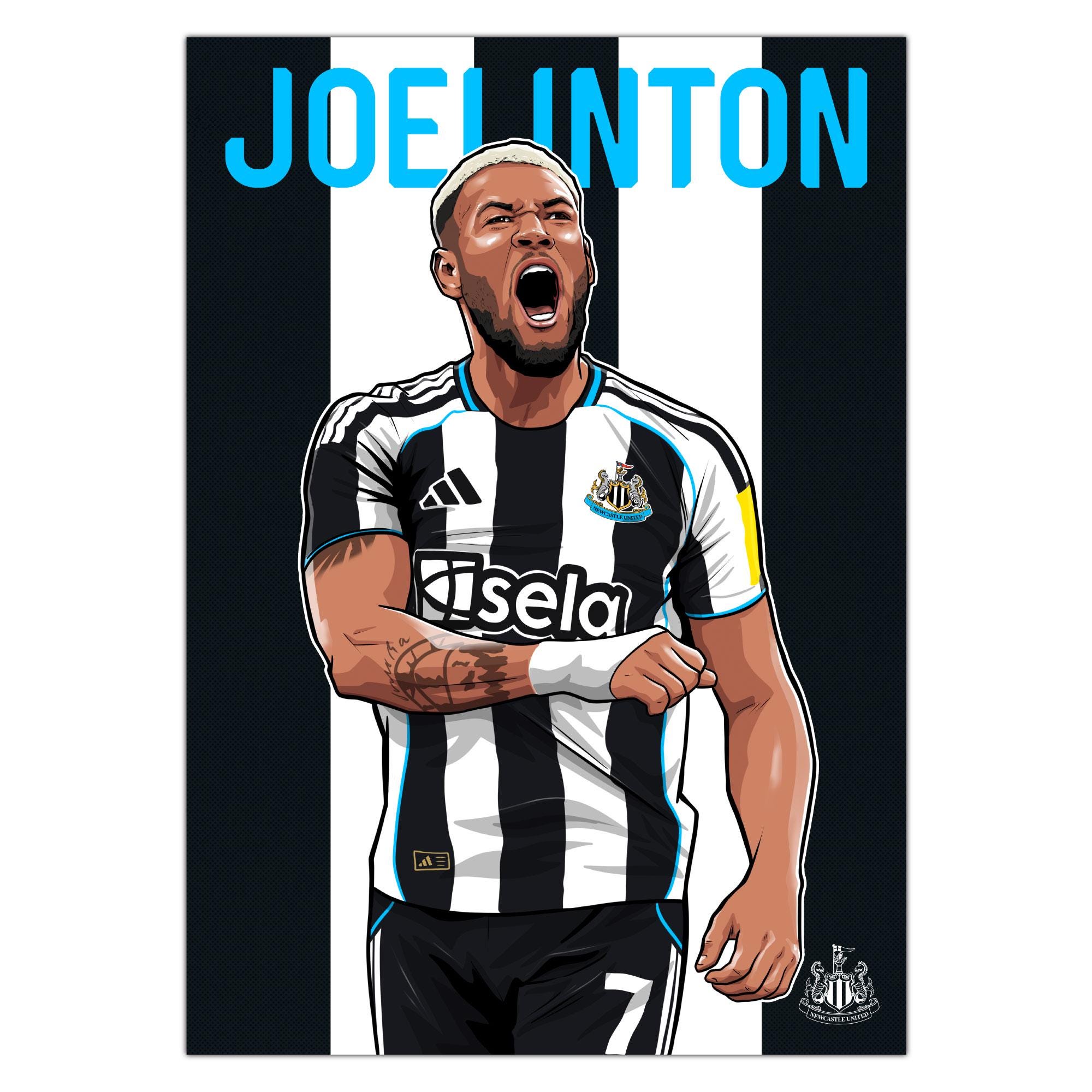 直筆サイン入り写真 ジョンジョ・シェルヴェイ ニューカッスル