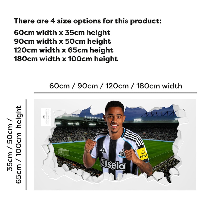 May include: A wall sticker featuring a footballer in a black and white striped jersey, with the Newcastle United logo. The image is framed by a white, torn-paper effect. Available in four sizes: 60cm x 35cm, 90cm x 50cm, 120cm x 65cm, and 180cm x 100cm.