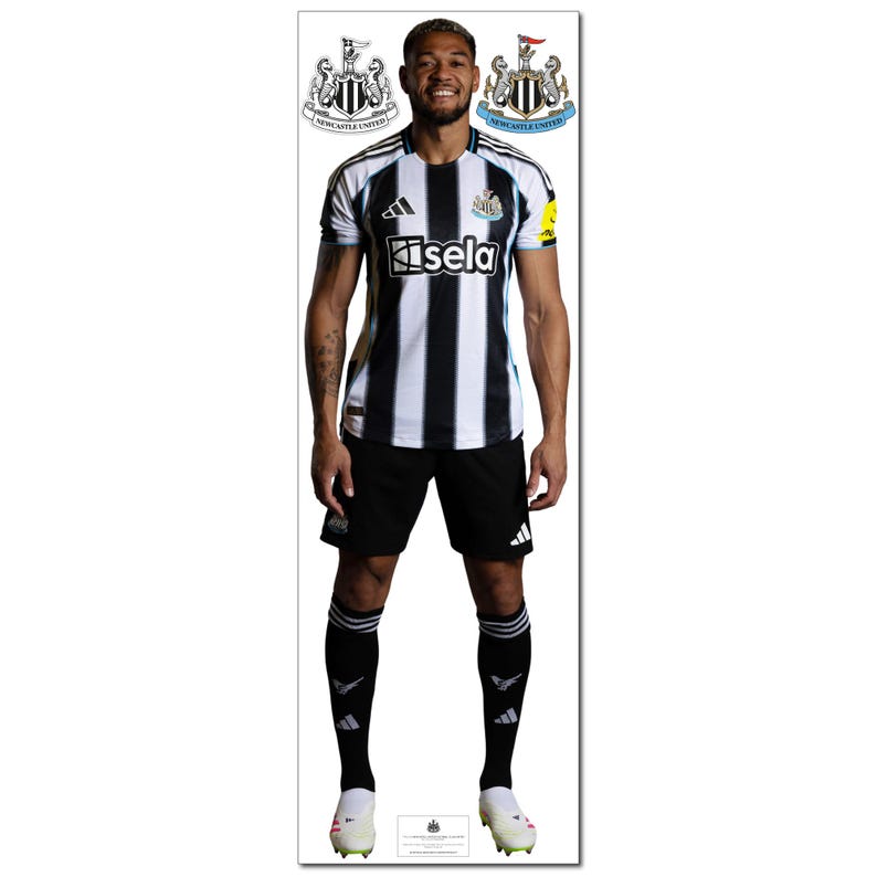 Newcastle United Wall Sticker - Joelinton 25/26 Player Wall Decal Football Art image 2