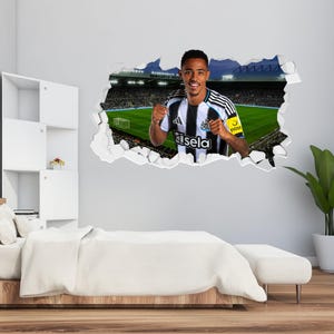 May include: A wall sticker depicting a footballer in a black and white striped jersey, with the Newcastle United logo. The image is set against a stadium backdrop, creating a 3D effect. The player is smiling and has his fists clenched.