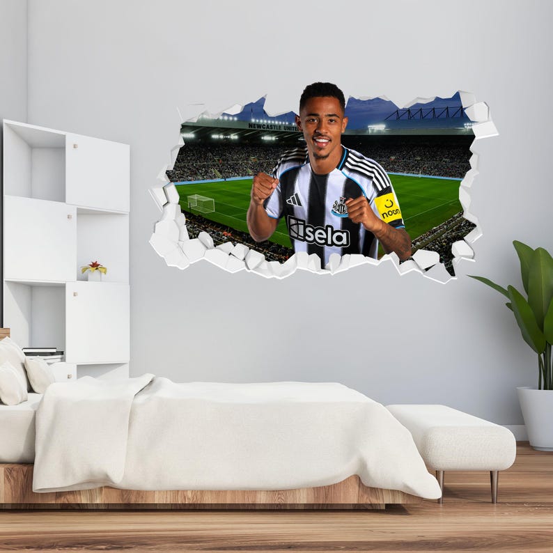 May include: A wall sticker depicting a footballer in a black and white striped jersey, with the Newcastle United logo. The image is set against a stadium backdrop, creating a 3D effect. The player is smiling and has his fists clenched.