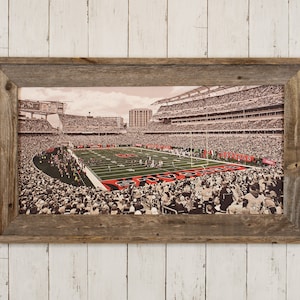Cincinnati, OH - Paul Brown Stadium - Original Artwork - Reclaimed Barn wood Framed Art - 24&quot; x 12&quot;, Home of Bengals football