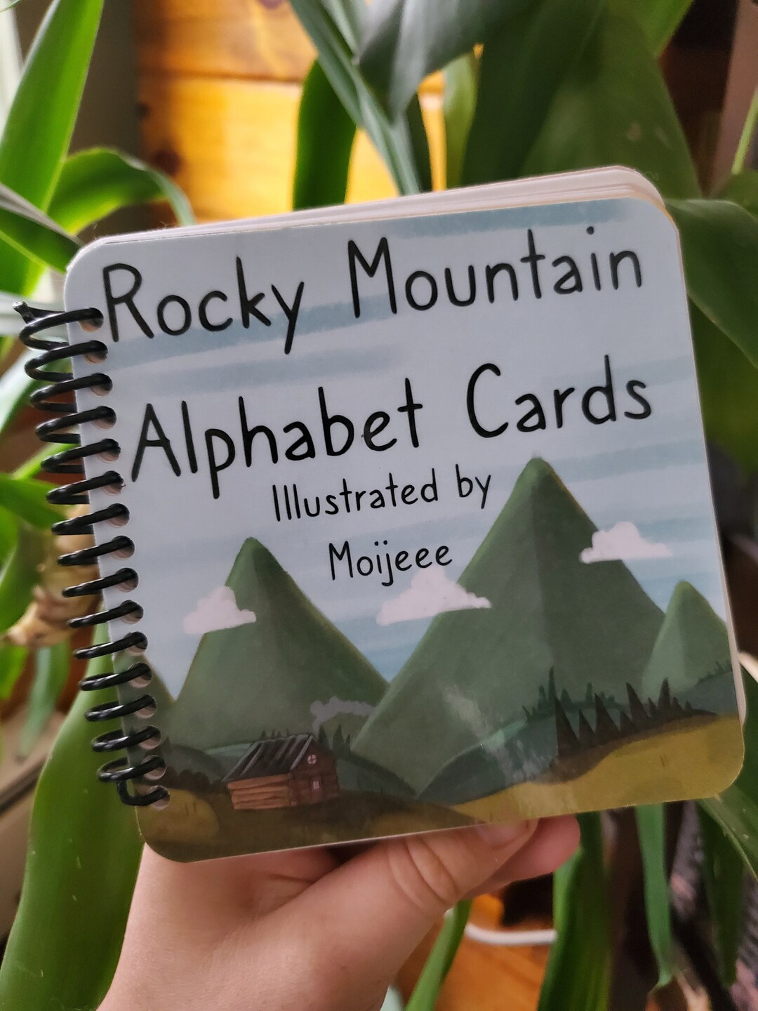 Rocky Mountain Alphabet Cards - Etsy