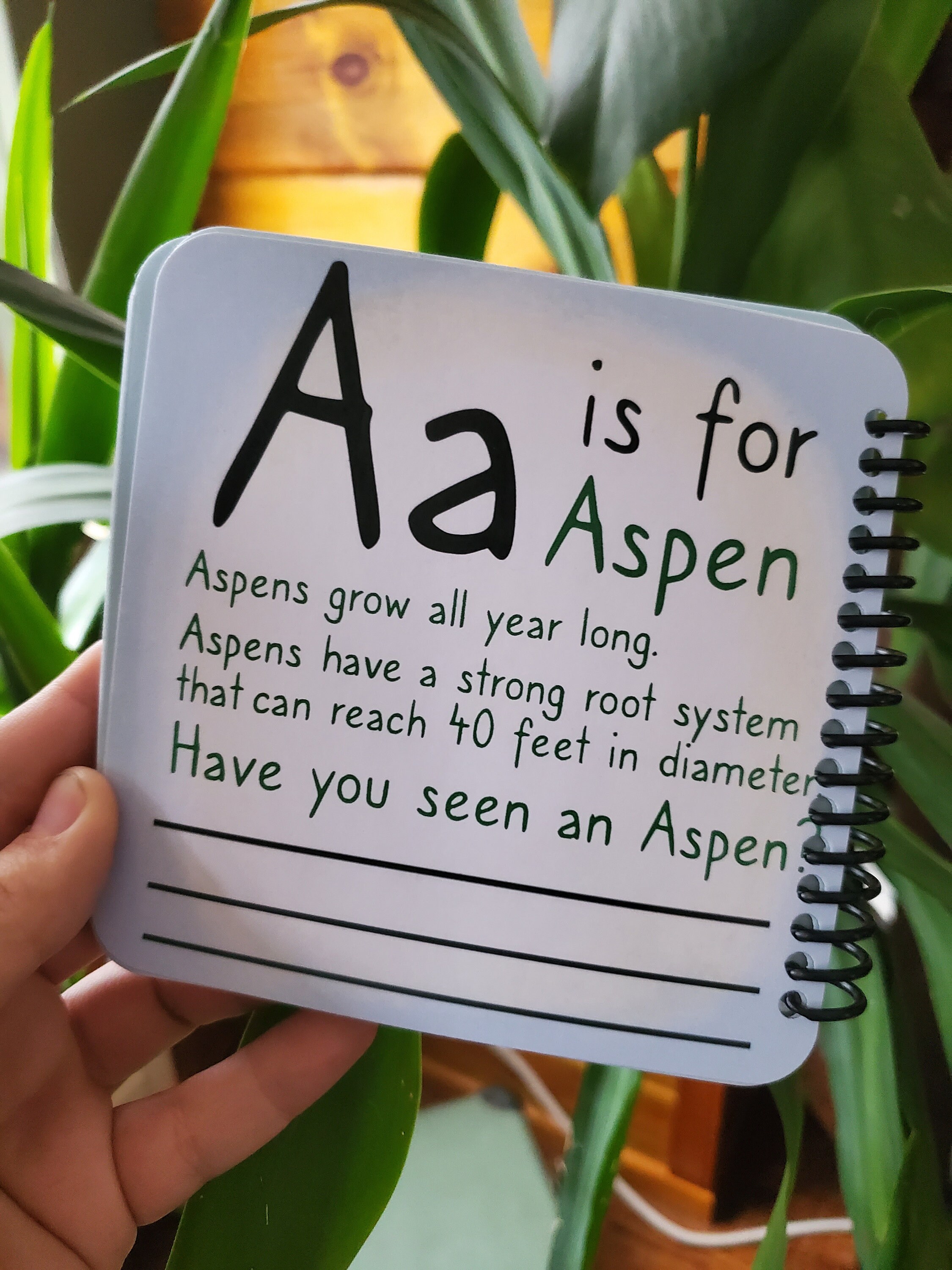 Rocky Mountain Alphabet Cards - Etsy