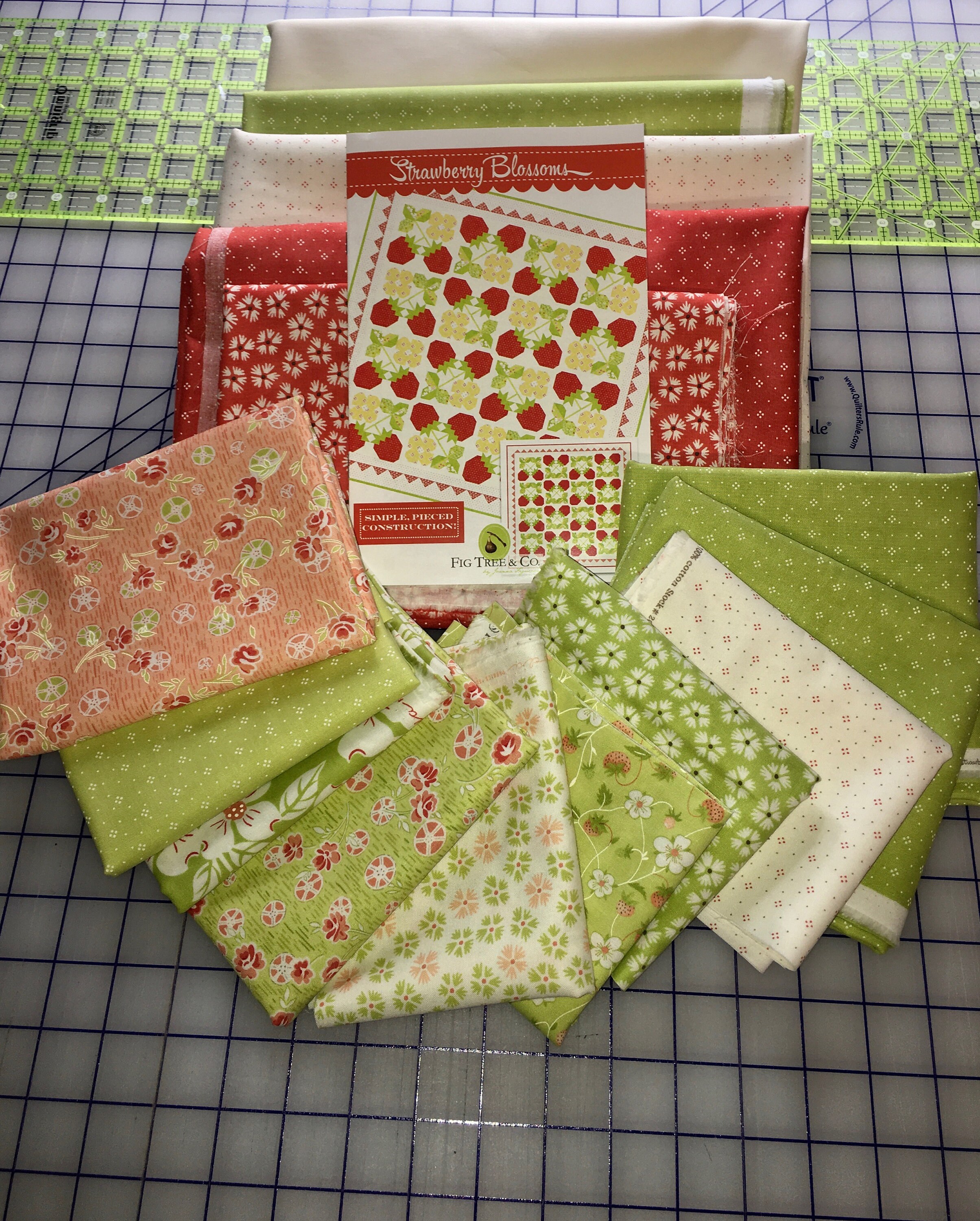 Strawberry Blossoms Quilt Kit by Fig Tree & Co for Moda Etsy