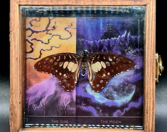 May include: A wooden framed display with a butterfly and a split background. One side shows the sun, the other the moon. The butterfly has brown and cream wings. The text "THE SUN" and "THE MOON" are visible.