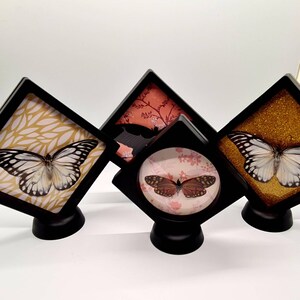 May include: Three black diamond-shaped frames with different patterned backgrounds and butterflies inside. The butterflies are a white and black butterfly, a brown butterfly, and a white and black butterfly. The frames are on black stands.