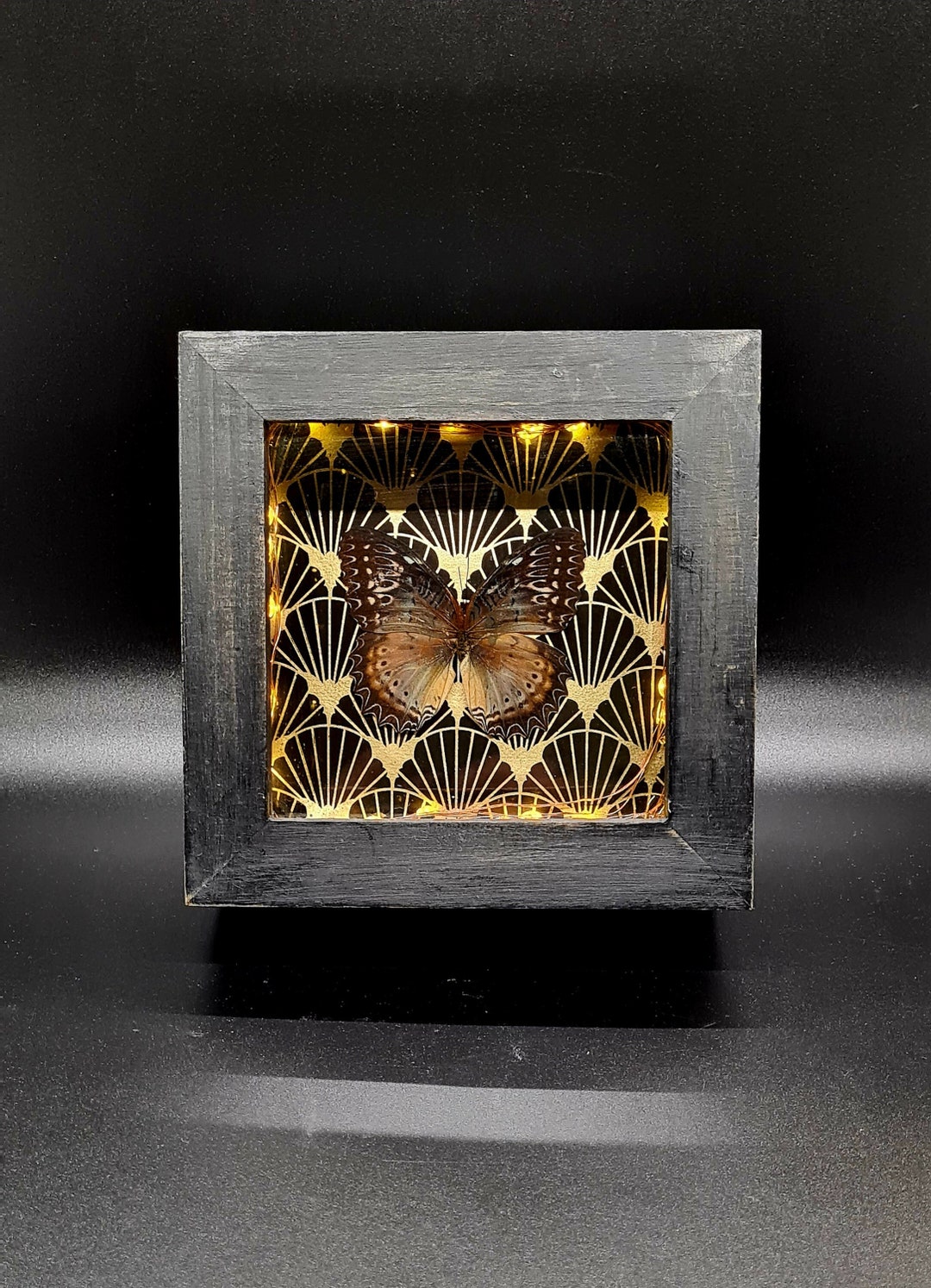 Lightup Butterfly Shadowbox - Etsy