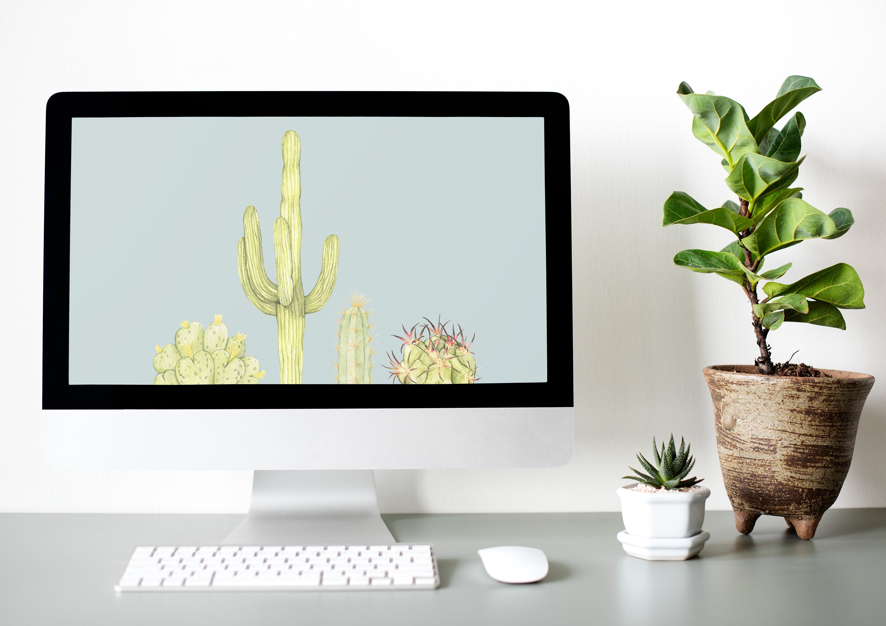 Hình nền cây xương rồng sẽ là lựa chọn tuyệt vời cho những người yêu thích sự hoang dã, phóng khoáng trong thiết kế nội thất. Cùng chiêm ngưỡng những cảnh sắc thiên nhiên tuyệt đẹp trên màn hình desktop của bạn.