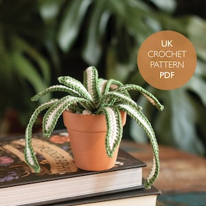 Spider Plant Crochet Pattern | Amigurumi Houseplant