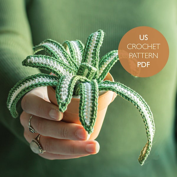 Spider Plant US Crochet Pattern | Amigurumi Houseplant | Chlorophytum comosum