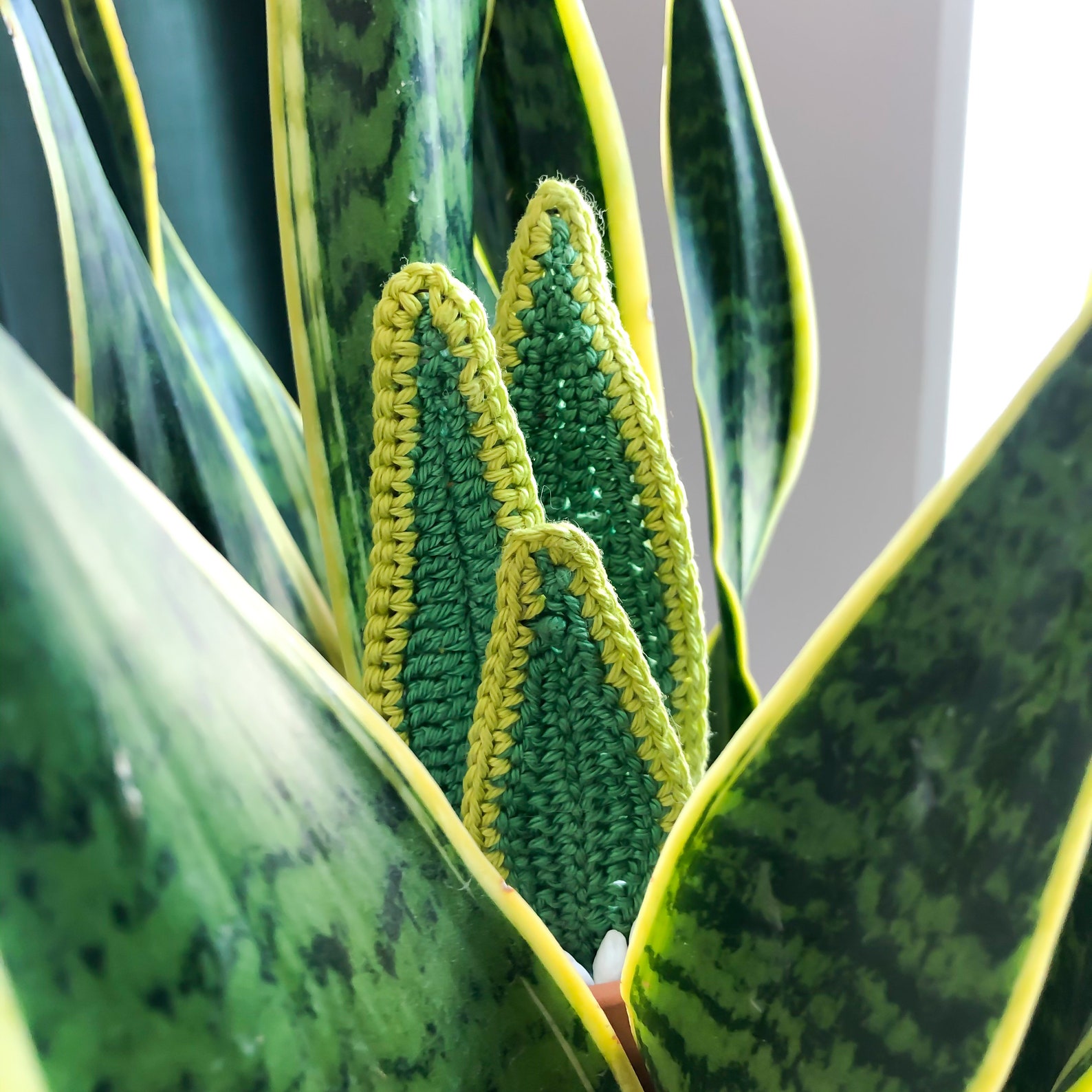 Snake Plant Crochet Pattern Amigurumi Houseplant Etsy