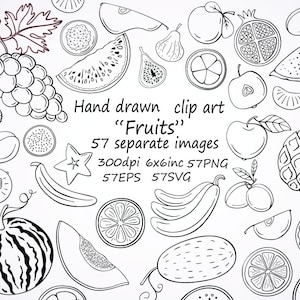Clipart de frutas desenhado à mão, 57 imagens separadas de frutas SVG, PNG, EPS, 6x6inc, clipart de frutas doodle, download digital de clipart de frutas.