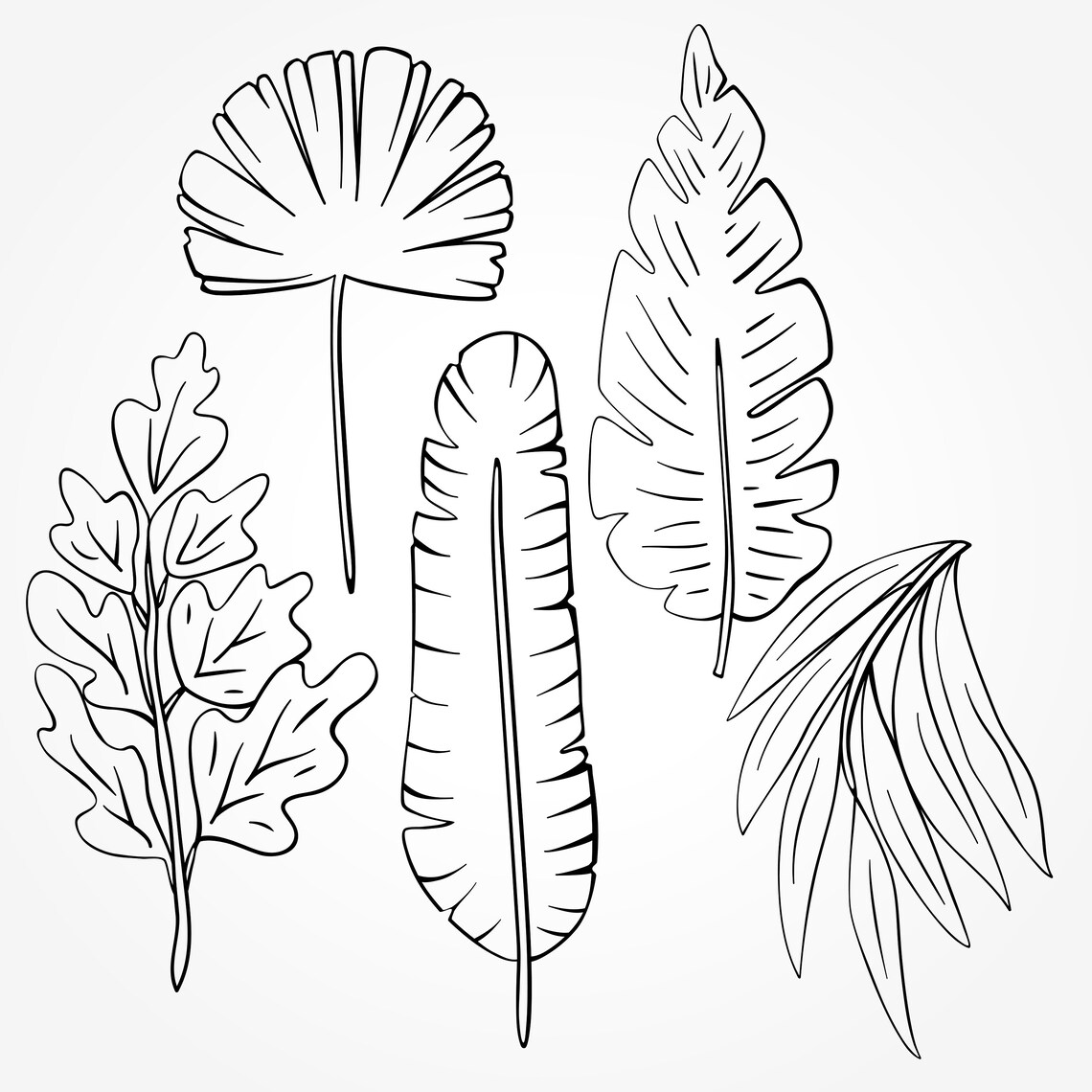 Tropical leaves clipart20 PNG tropical leaves 20 SVG | Etsy